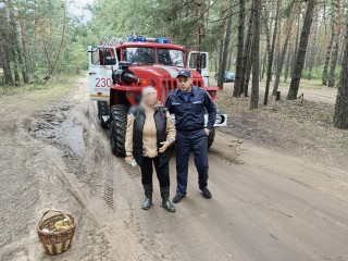 Луховицкие спасатели вывели из леса заблудившуюся любительницу тихой охоты