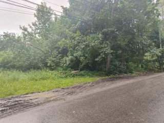 Цена на участок в Мытищах взлетела почти вдвое