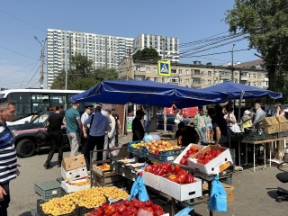 Администрация Ленинского округа проверит торговую точку с арбузами на улице Фокина