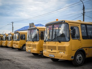 Школьные автобусы из Бронниц будут развозить на учебу детей из 57 деревень и сел