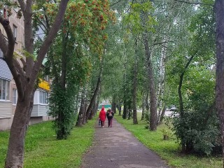 В Подмосковье резко похолодает уже во вторник