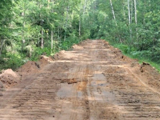 Ремонт лесных дорог в Орехово-Зуеве снизит риск пожаров