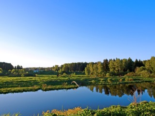 Капище со свиными головами обнаружила жительница Лосино-Петровского у реки Клязьма