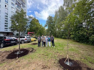 Новые липы, клены, сирень и ели высадили в Щелкове и Монине