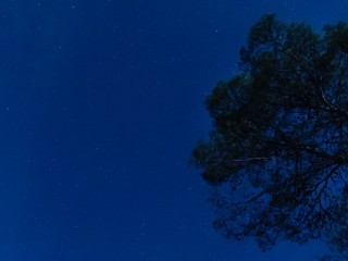 Венеру и Юпитер заметили на небе жители Лыткарина