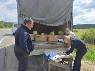 В Орехово-Зуеве пресекли незаконную торговлю арбузами и дынями