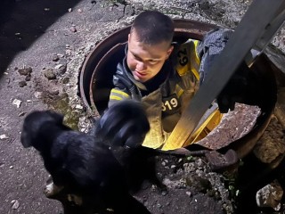 Спасатели помогли щенку, упавшему в колодец в Зарайске