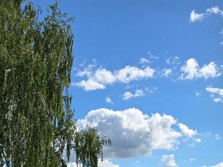 Испепеляющая жара вернется в Подмосковье 30 августа, но только на 3 дня