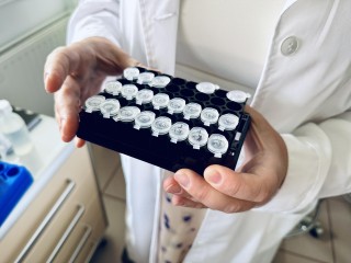Новые открытия и защита урожая: ученые из Раменского спасают рис от опасных бактерий