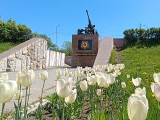 Жители рассказали властям, как они оценивают реконструкцию парка Защитников Москвы