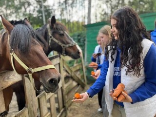 Молодогвардейцы Жуковского собрали и отвезли корм и лекарства в приют для животных