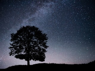С 28 августа Вселенная щедро наградит удачей три знака зодиака