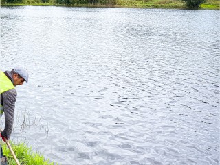 В городе начали чистку Комиссаровского пруда от мусора и водорослей