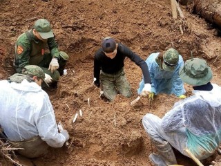 В Одинцовском округе поисковые отряды нашли останки двух солдат