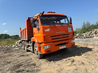 В Домодедове оштрафовали нарушителей за незаконный сброс отходов