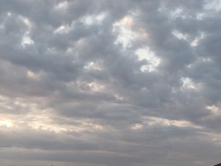 Начало недели в Подмосковье ожидается холодным и дождливым