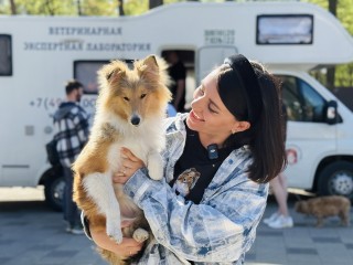 В парках можно бесплатно сделать прививки домашним животным