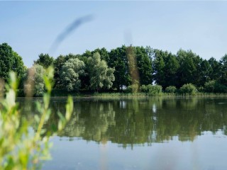 Горожан приглашают очистить берег реки Пахра 5 сентября