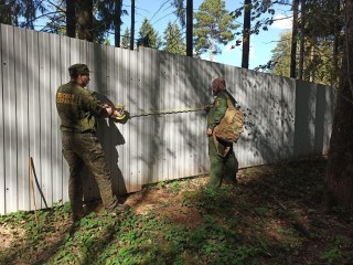 В Орехово-Зуеве зафиксировали 22 случая самовольного занятия леса