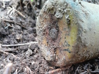 Боеприпасы времен ВОВ уничтожат в Подмосковье