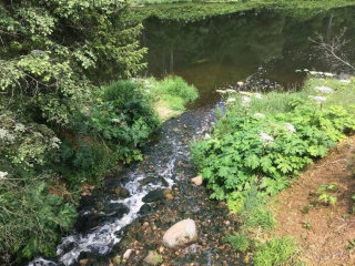 Эконадзор Подмосковья выявил незаконный водосброс в Дмитровском округе