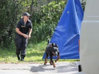 Видео с собаками с секретных учений МЧС слили в сеть