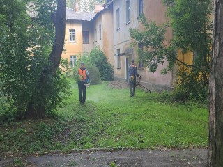 На западе Пушкино привели в порядок кустарники и скосили траву