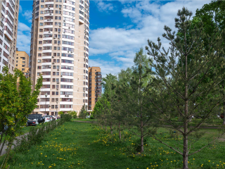 В Реутове приводят в порядок сквер на 0,4 гектара