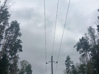 Коммунальщики Лотошина убрали дерево, рухнувшее на линии электропередач
