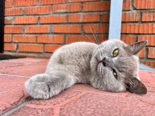 Сухие выходные и прохладные ночи: прогноз погоды для  Подмосковья