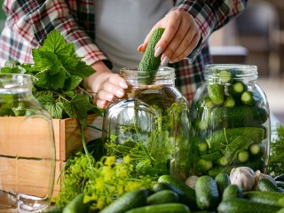 30 секретов идеальных соленых огурцов: от классической засолки до экзотики с медом — как добиться хруста и сохранить вкус