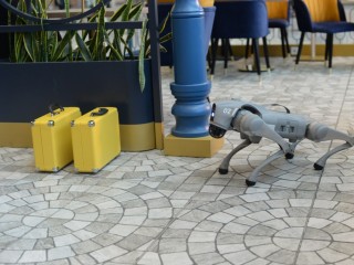 В съемках нового фильма в аэропорту Домодедово участвует робособака