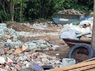 В лесах Одинцовского округа убрали 30 мусорных навалов с начала года