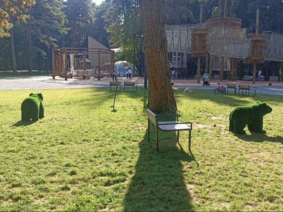 Медведи поселились у детской площадки в «Шишкином лесу»