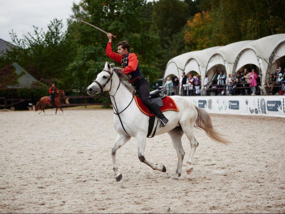 В Котельниках состоялся фестиваль «Золотая Осень» для детей с ограниченными возможностями