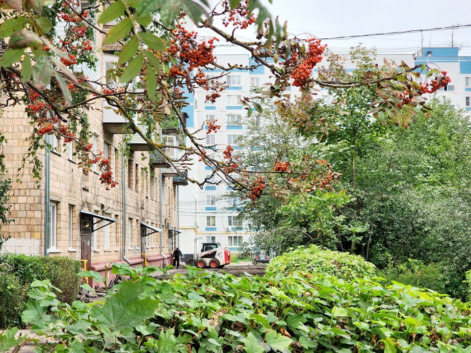 Двор дома на Октябрьской улице в Старой Купавне после ремонта не узнают жильцы