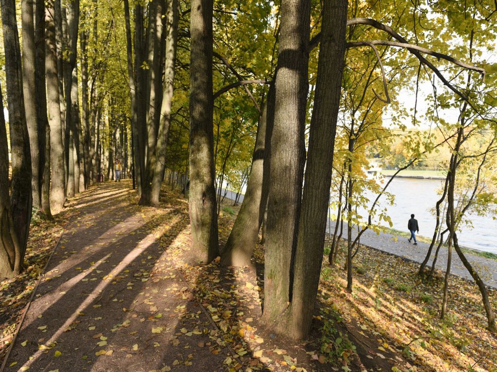 Сколько продержится летнее тепло в Подмосковье, рассказали синоптики