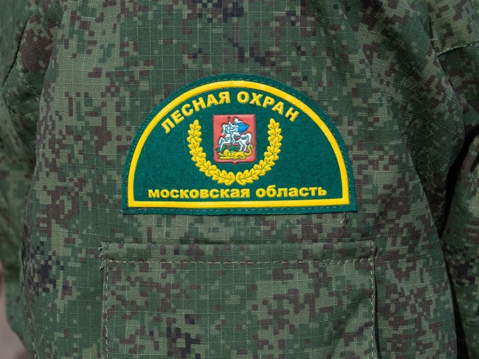Молодежь Волоколамска открыла для себя профессию лесничего и экологию родного края
