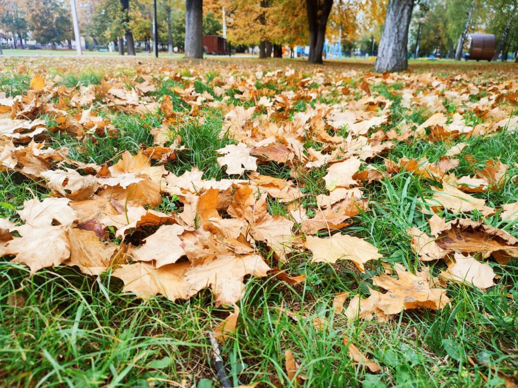 Погода в Раменском 29 сентября 2025