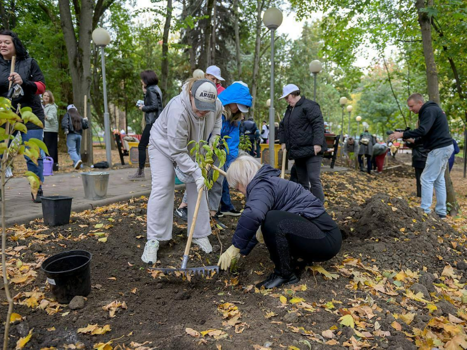 Более 80 деревьев высадили в подольском парке Победы в рамках экоакции