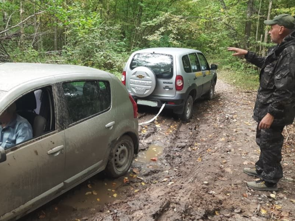 Лесничие пришли на помощь автомобилисту, который застрял в лесу