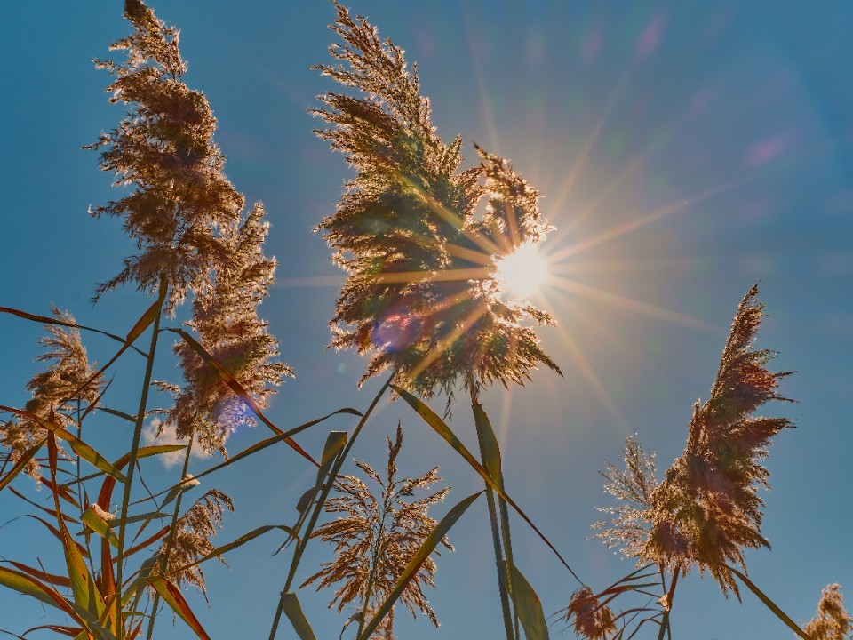 Днем под +25°C, ночью ниже +8°C: чем опасна первая неделя сентября в Подмосковье