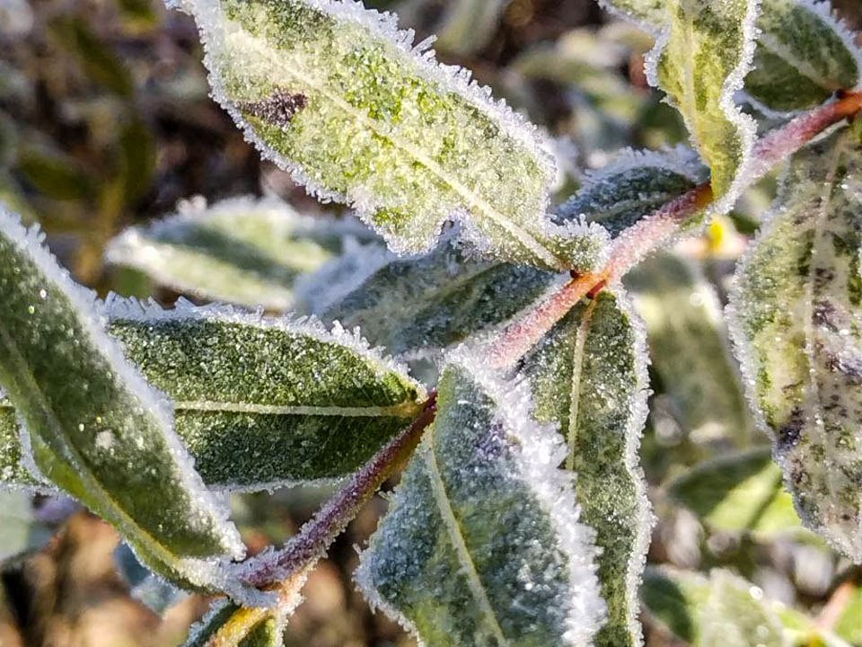 Подмосковье ожидает резкий перепад температур с +15°C до +0°C
