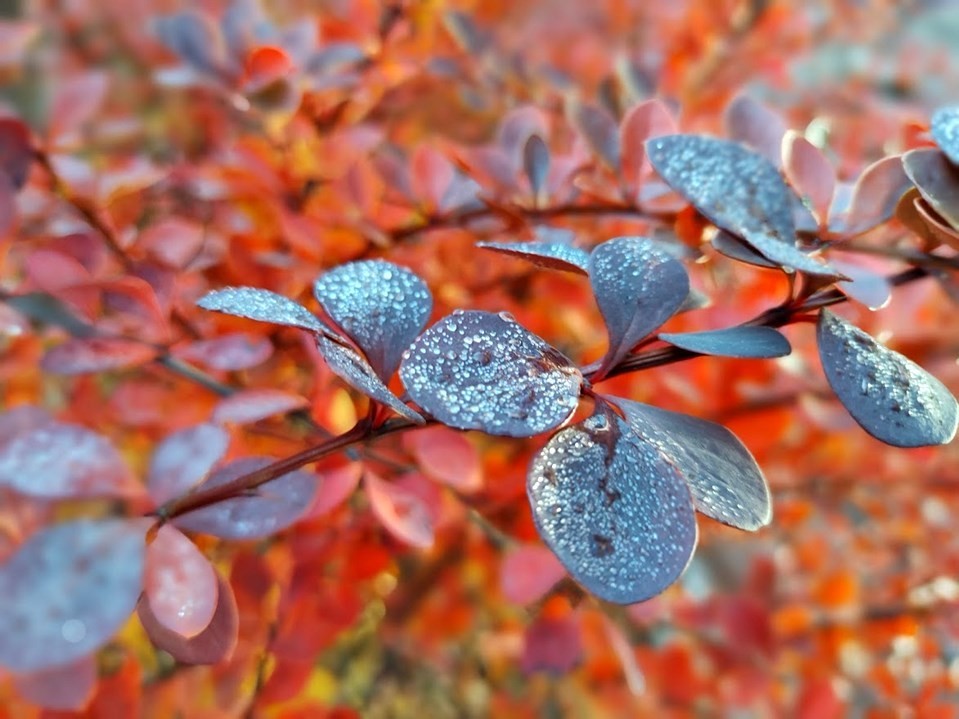 Приятные траты и сложные разговоры: чем удивит все знаки зодиака 23 сентября