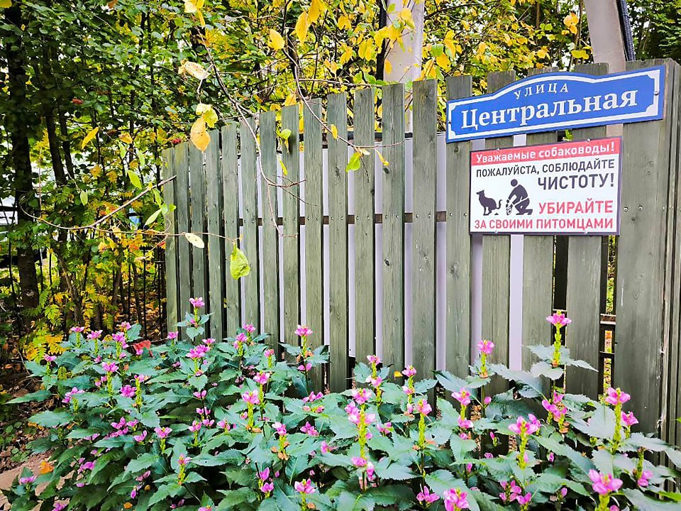 Справиться с мышами в огороде поможет один метод