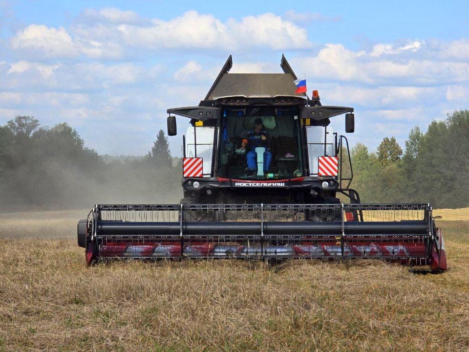 Можайские аграрии соберут урожай зерновых и зернобобовых культур с площади более 10 тыс. га