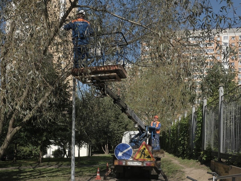 Возле школы в Павшинской пойме стало светлее благодаря новым фонарям