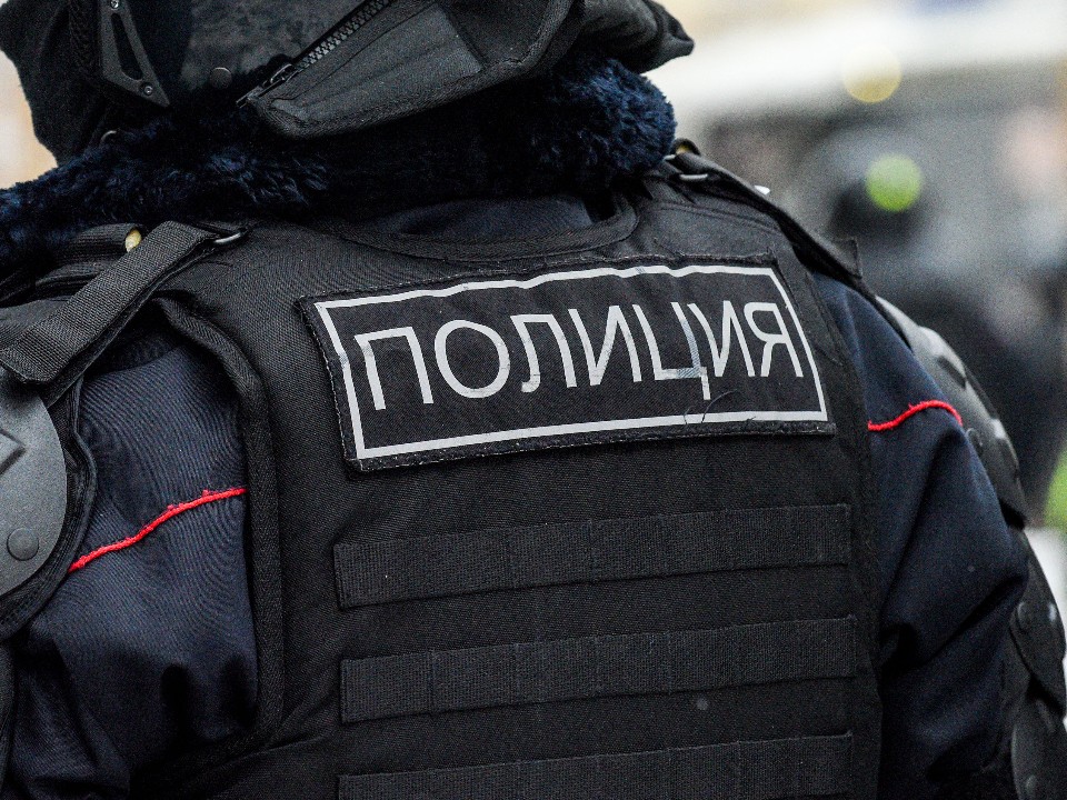 Активиста в костюме лебедя задержали на пруду в столичном регионе