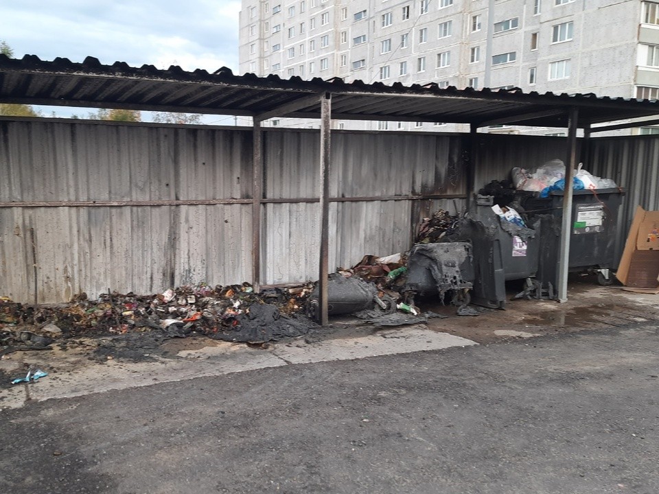В Орехово-Зуеве разыскивают поджигателей контейнерной площадки