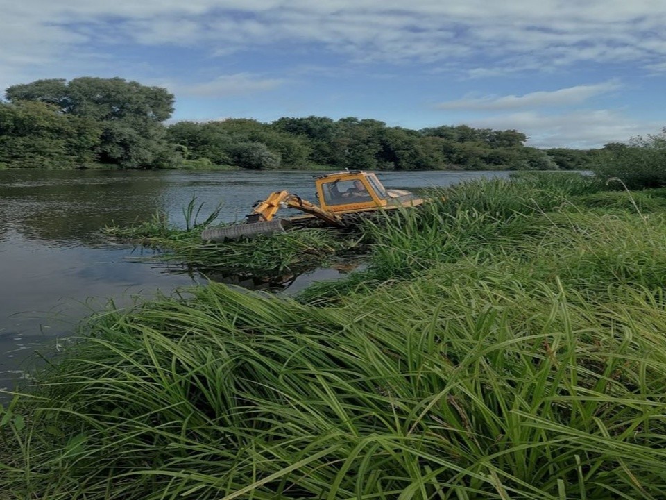 В Орехово-Зуеве от водной растительности очистили участок реки Клязьма